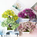 Bonsai Decorativo com Vaso Branco – 25cm | Toque de Paz para Seu Ambiente
